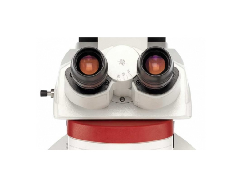 Leica DM4 M �� Leica DM 6 M ���ò����@΢�R